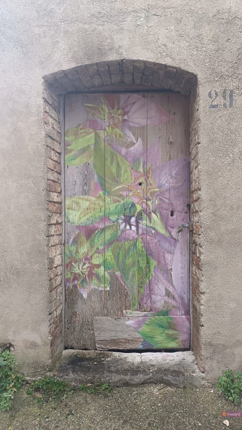Agus Rùcula - Tensione prima della fioritura