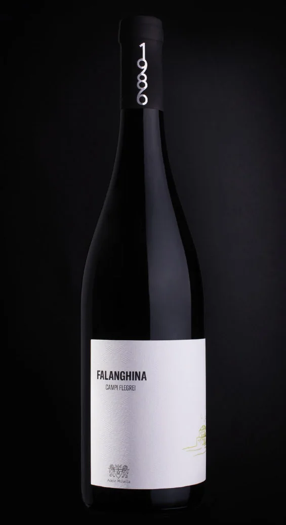 Falanghina Campi Flegrei 1986
